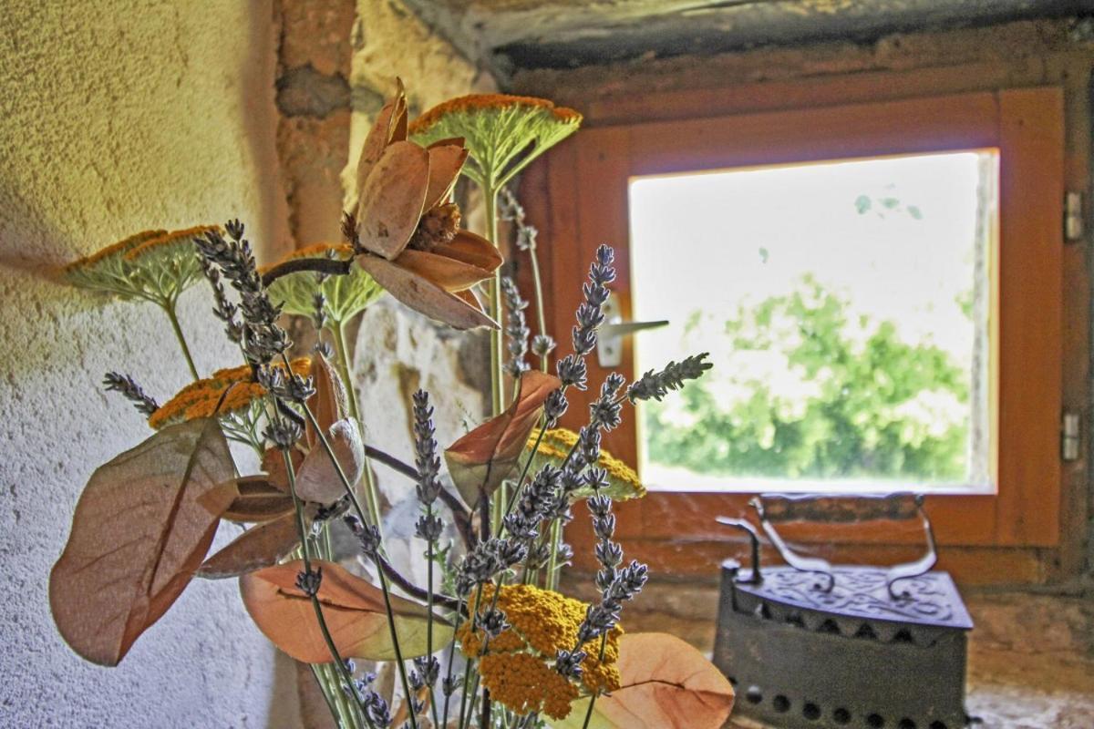 Erika In Sumber Villa Nedeščina Buitenkant foto